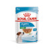 Royal Canin Mini Puppy – Hrană Umedă în Sos pentru Căței de Talie Mică – 85 g